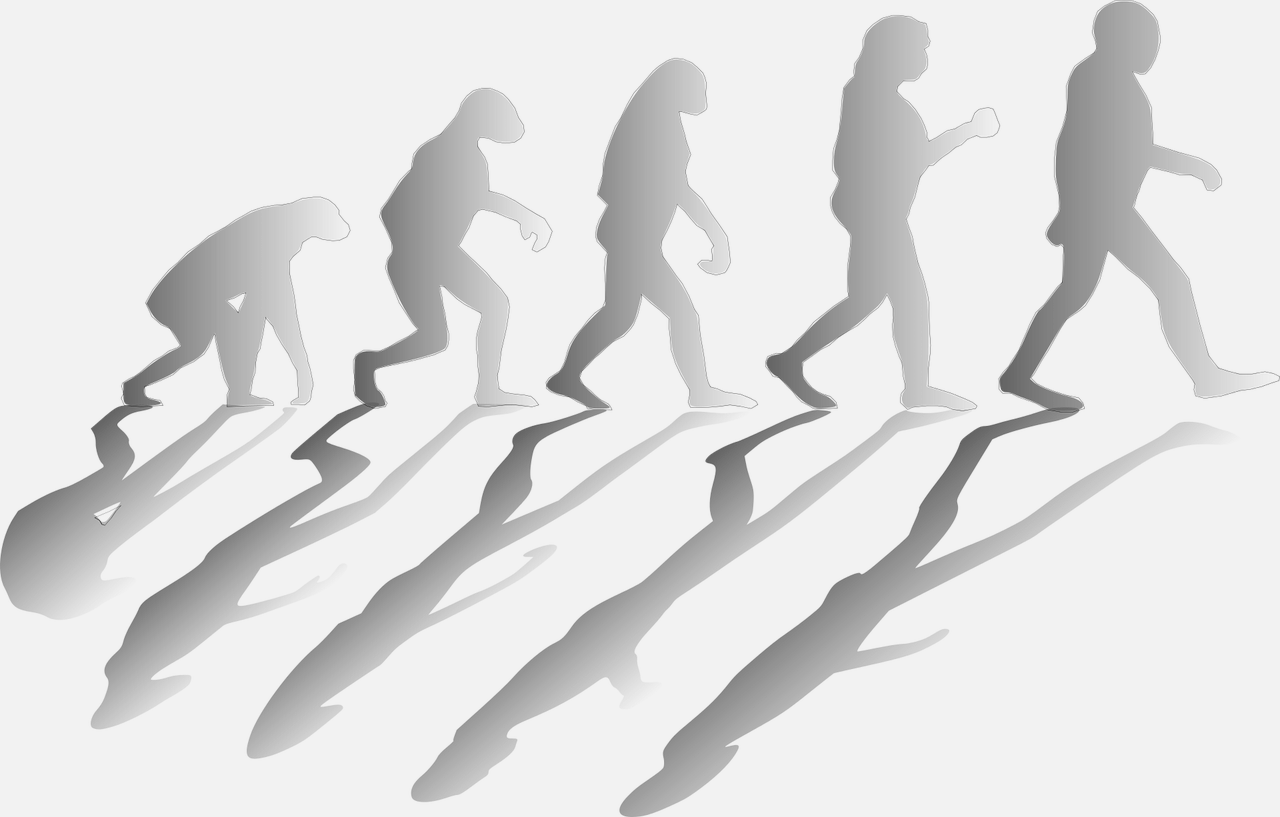 Evolution