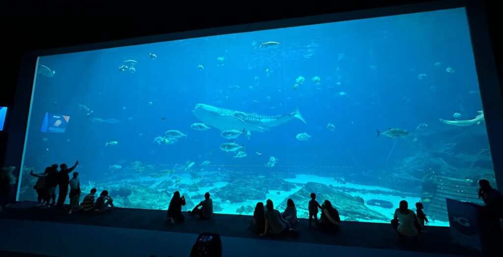 A large aquarium tank filled with fish, rays, and a whale shark swimming in clear blue water. Silhouettes of visitors, including children and adults, sit or stand along the viewing window, watching the sea life swim by.